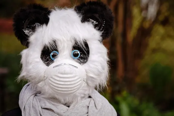 Unibet Kazino Pagalba